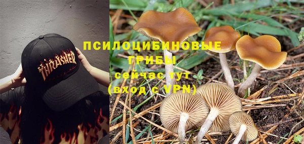 мдма Володарск